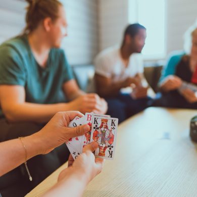 Alternative view of Familieferie